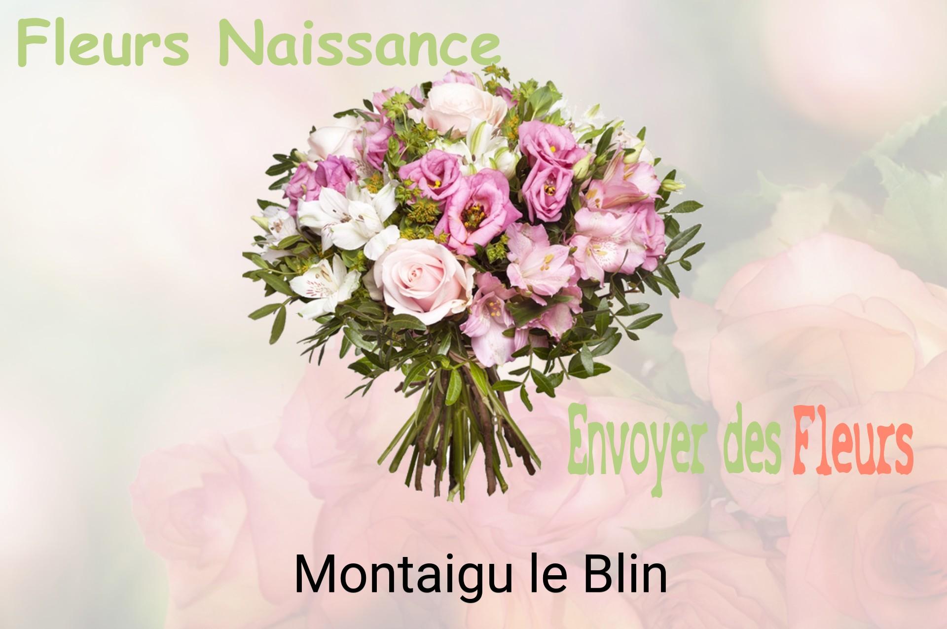 Bouquet de fleurs de naissance livré à Montaigu-le-Blin